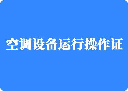 鸡巴插入骚逼里视频制冷工证